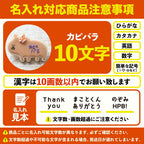 動物クッキーギフトA